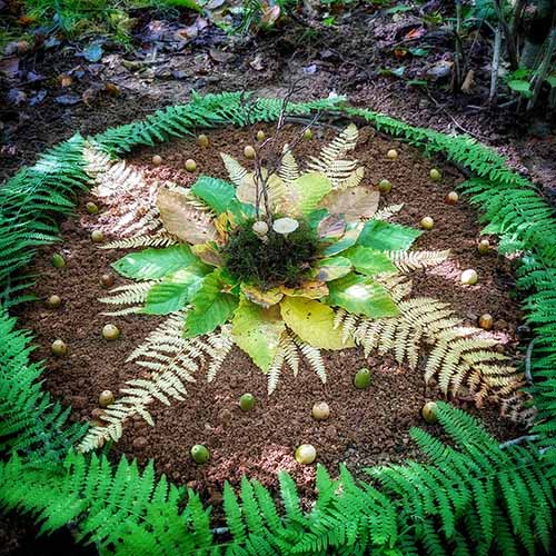 Mandala en Land Art réalisé en forêt de l'Aiguille : cercle de fougères et feuilles colorées, atelier bien-être entre Durfort et Les Cammazes.