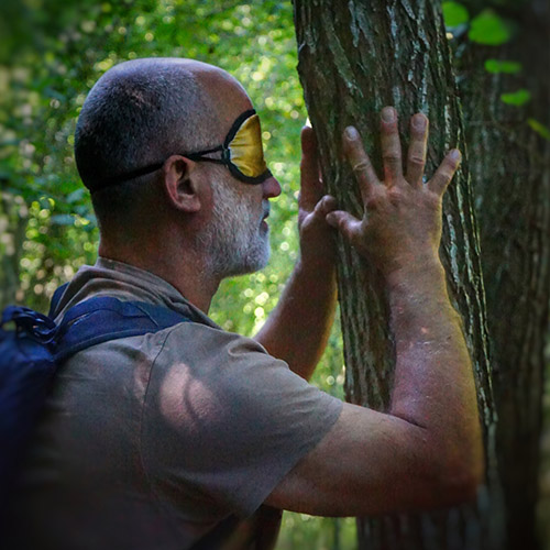 Immersion sensorielle guidée dans la forêt d'Arfons dans le Tarn : homme avec bandeau occultant en contact avec un arbre, séance de sylvothérapie À Fleur d'Écorces.