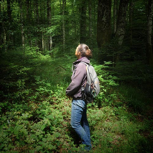 Femme de profil avec un sac à dos marchant dans une forêt dense et verdoyante, éclairée par une lumière naturelle.