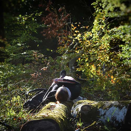 Une participante allongée sur un tronc au sol en pleine forêt, en état de relaxation profonde et de contemplation sous les arbres ensoleillés, lors d'un bain de forêt avec À fleur d'écorces.