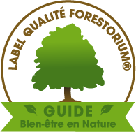 Logo circulaire officiel du Label Qualité Forestorium Guide Bien-être en Nature. Au centre, un arbre vert feuillu sur un tronc marron, surmonté du texte "LABEL QUALITÉ FORESTORIUM". À la base, un ruban vert clair porte les mentions "GUIDE" entouré de deux feuilles et "Bien-être en Nature".