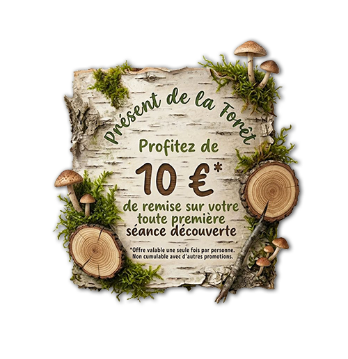 Macaron en écorce de bouleau avec mousse et champignons indiquant une remise de 10 euros - À Fleur d'Écorces